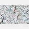 Designart - Chinoiserie With Birds and Peonies X - Traditional Canvas Wall Art Print